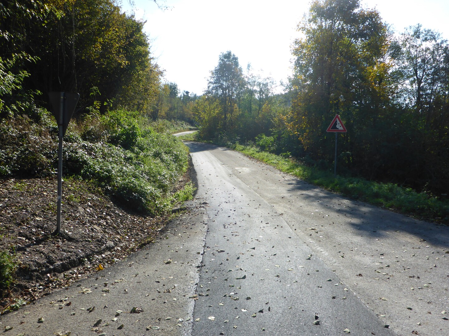 Die Straße Richtung Bocchetta di Sant Antonio