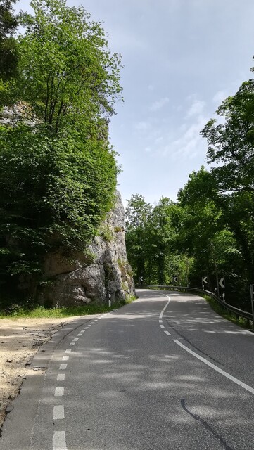 Im Welschenhans – die zweite Hälfte der Auffahrt befindet sich im Wald, immer wieder gesäumt von schönen Felsen.