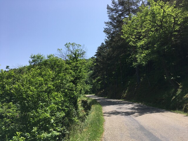 Col de Tauzuc (W) Auffahrt von Saint-Pierreville (IMG 4989).