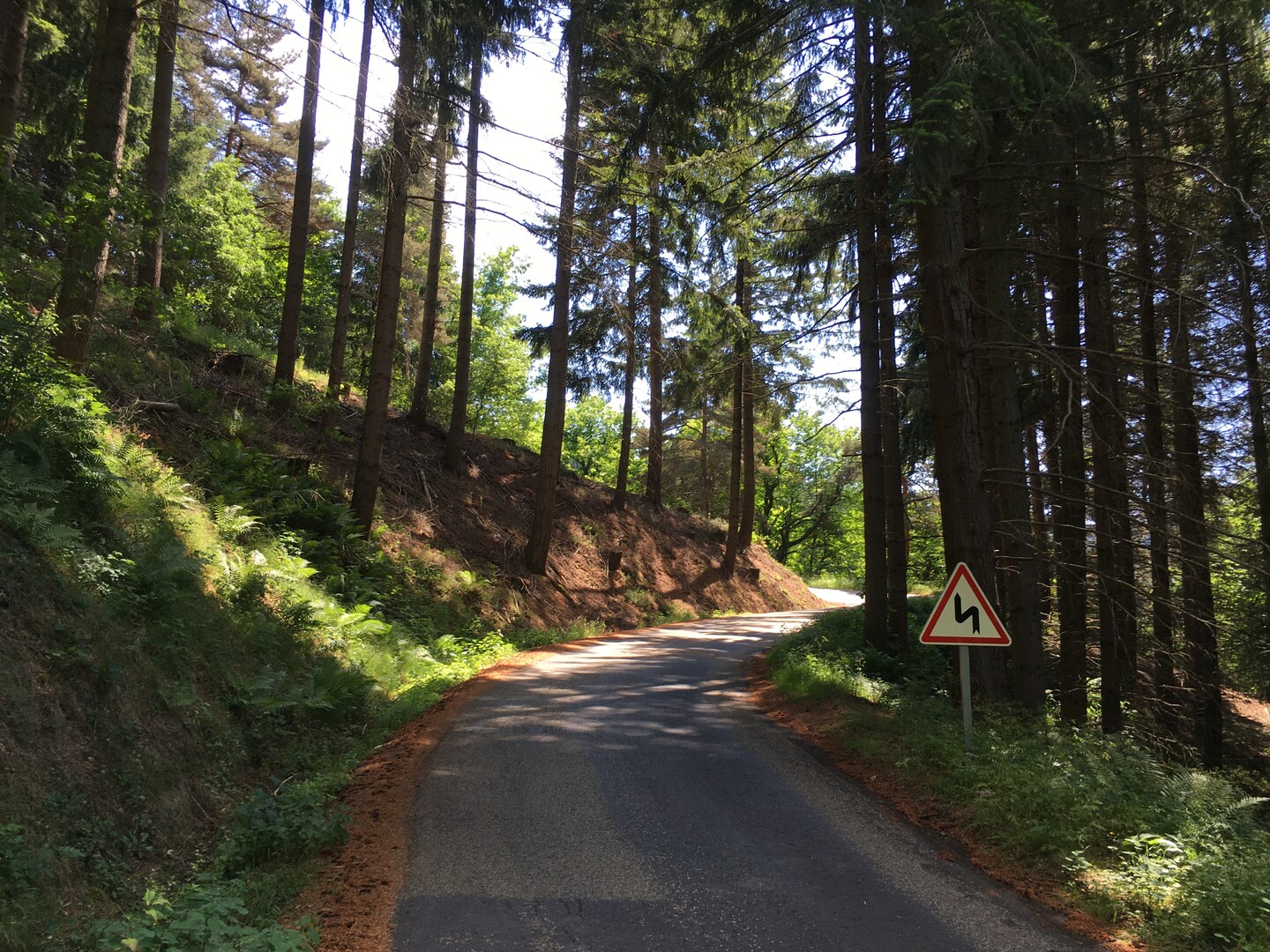 Col des Fourches (N) Zu Beginn ist die Auffahrt relativ steil, sie führt großteils durch Wald (IMG 5829).