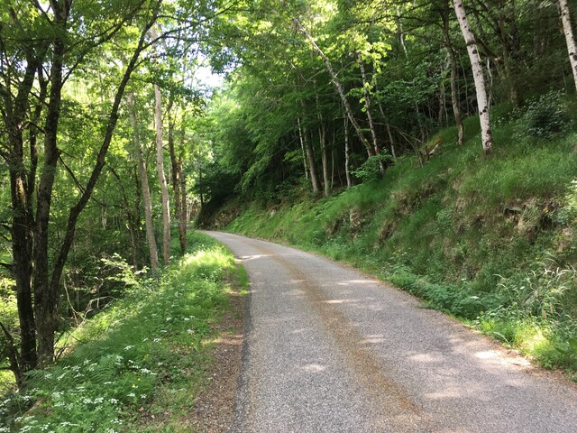 Col de l'Ardechoise (O) Im mittleren Teil führt die Strasse durch Wald - und gewinnt spürbar an Höhe. (IMG 5757).
