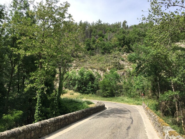 Ravin des Combes (S) D231 im oberen Bereich, vor Roumezoux (IMG 4892).