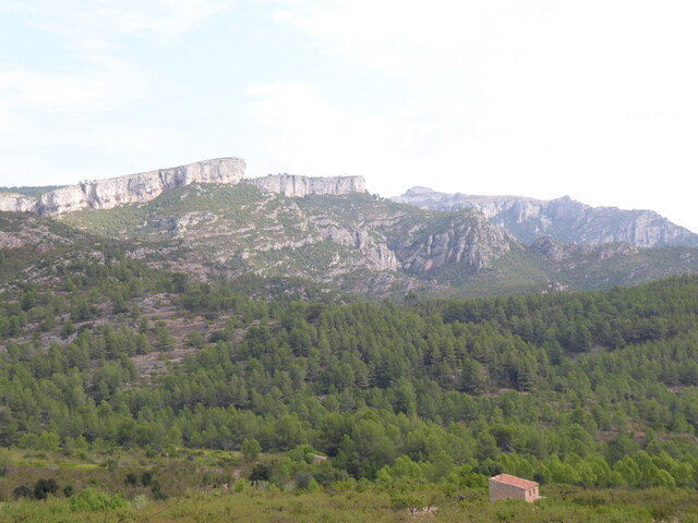 Die Klippen der Serra de Llaberia.