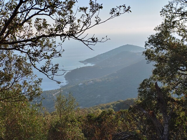 Blick zurück auf die Halbinsel von Cargèse.