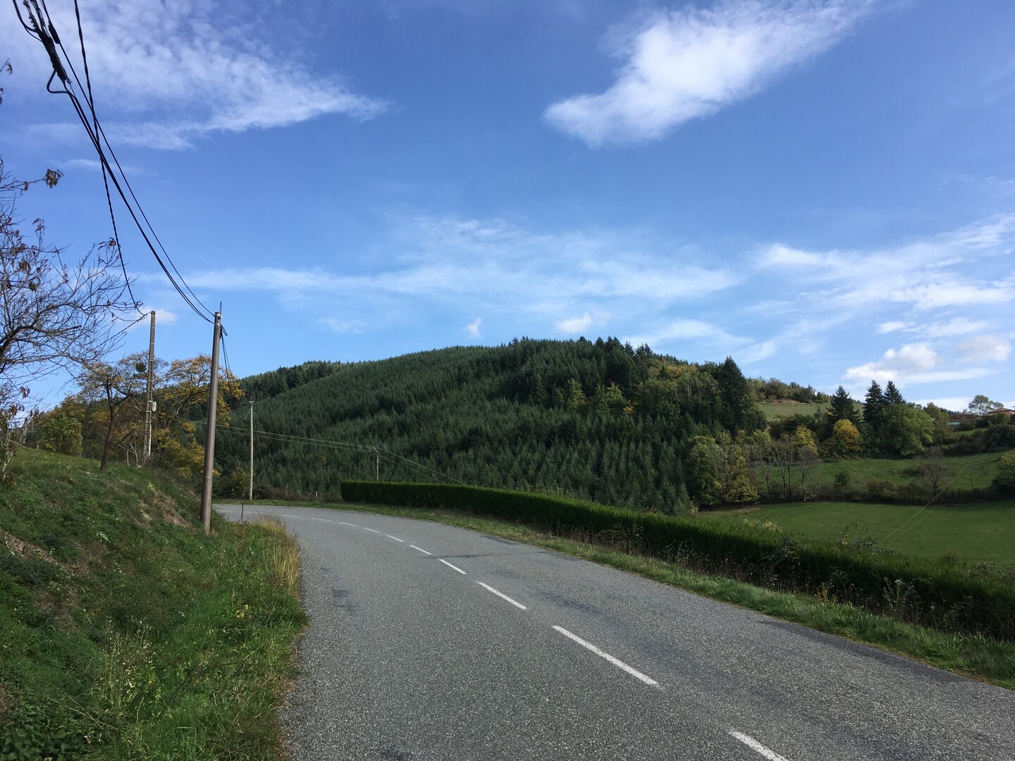 Col de la Casse Froide (SW) Beaujolais vert (IMG 7861).