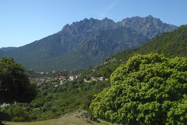 Moltifao, Mont Turone