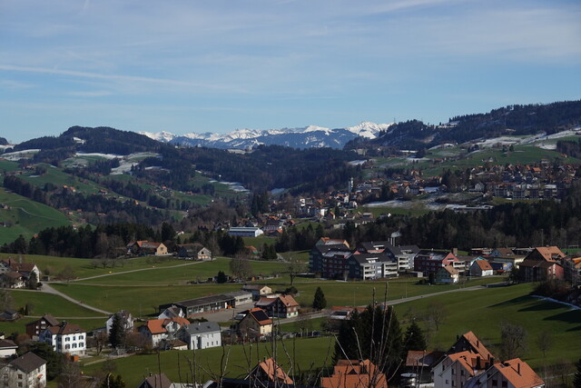 Blicke über Wald in Richtung Vorarlberg vom Vögelinsegg.