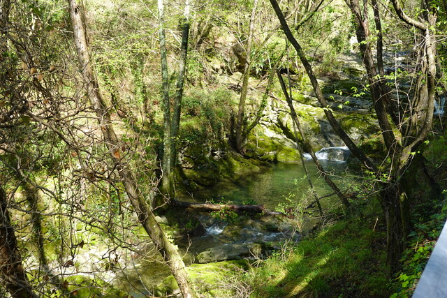 An Strudeltöpfen und Wasserfällen vorbei folgen wir dem namenlosen Bachlauf.