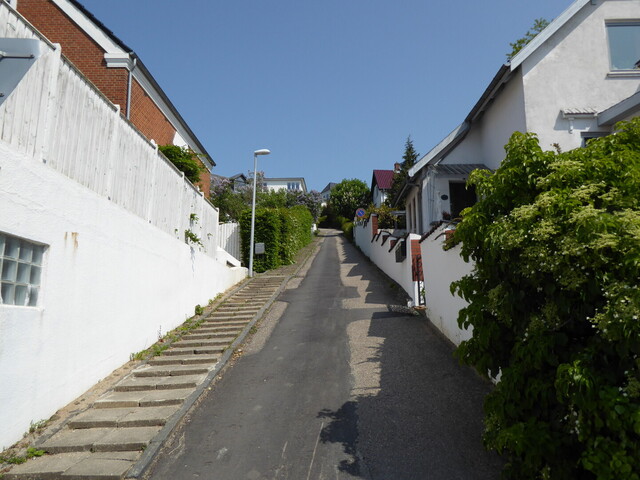 Der Christian-Winthers-Vej (Abzweig vom Jellingvej), die angeblich steilste Straße Dänemarks.