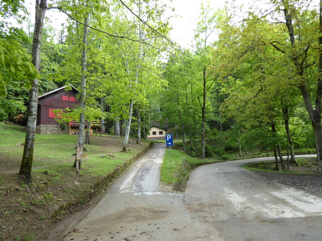 Süden: Ein Teil des Besucherzentrums im dichten Laubwald.
