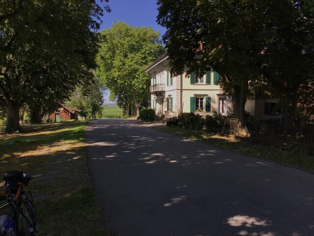 Hallauer Berghöfe: Lindenhof