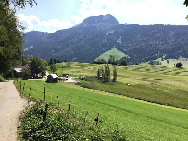 Ried von Riedle, Imberger Horn