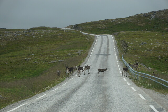 Einheimische auf der Straße zum Nordkap