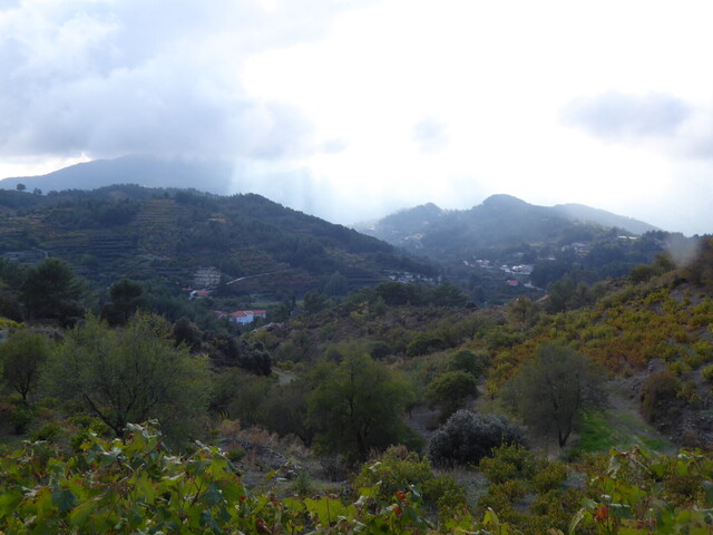 Süden: Blick über das westliche Ende der Pitsilia, links in Wolken der Olympos.