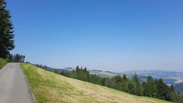 Blick ins Luzerner Hinterland, bevor man endgültig in den Wald einfährt. 