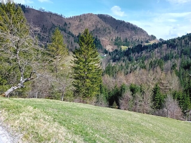 Blick auf die teilweise geschotterte, steile Direktvariante aus dem Kanomljica-Tal.
