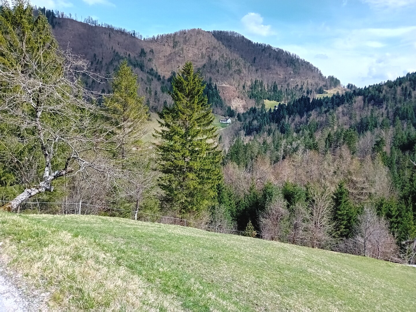 Blick auf die teilweise geschotterte, steile Direktvariante aus dem Kanomljica-Tal.