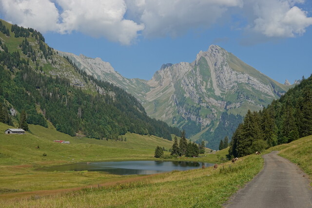 Der Gräppelensee. Im Hintergrund links angeschnitten der Säntis, rechts der Altmann, dazwischen der Rotsteinpass. 